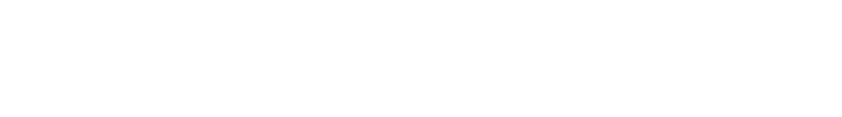 logo ex5 em i